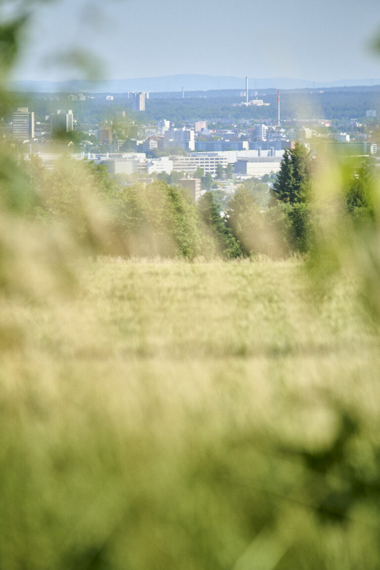 Berger Warte Tews 2026 (1)
