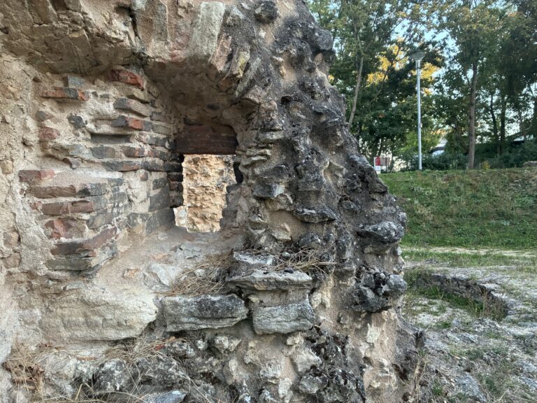 Festung Rüsselsheim BBaums 092026 IMG