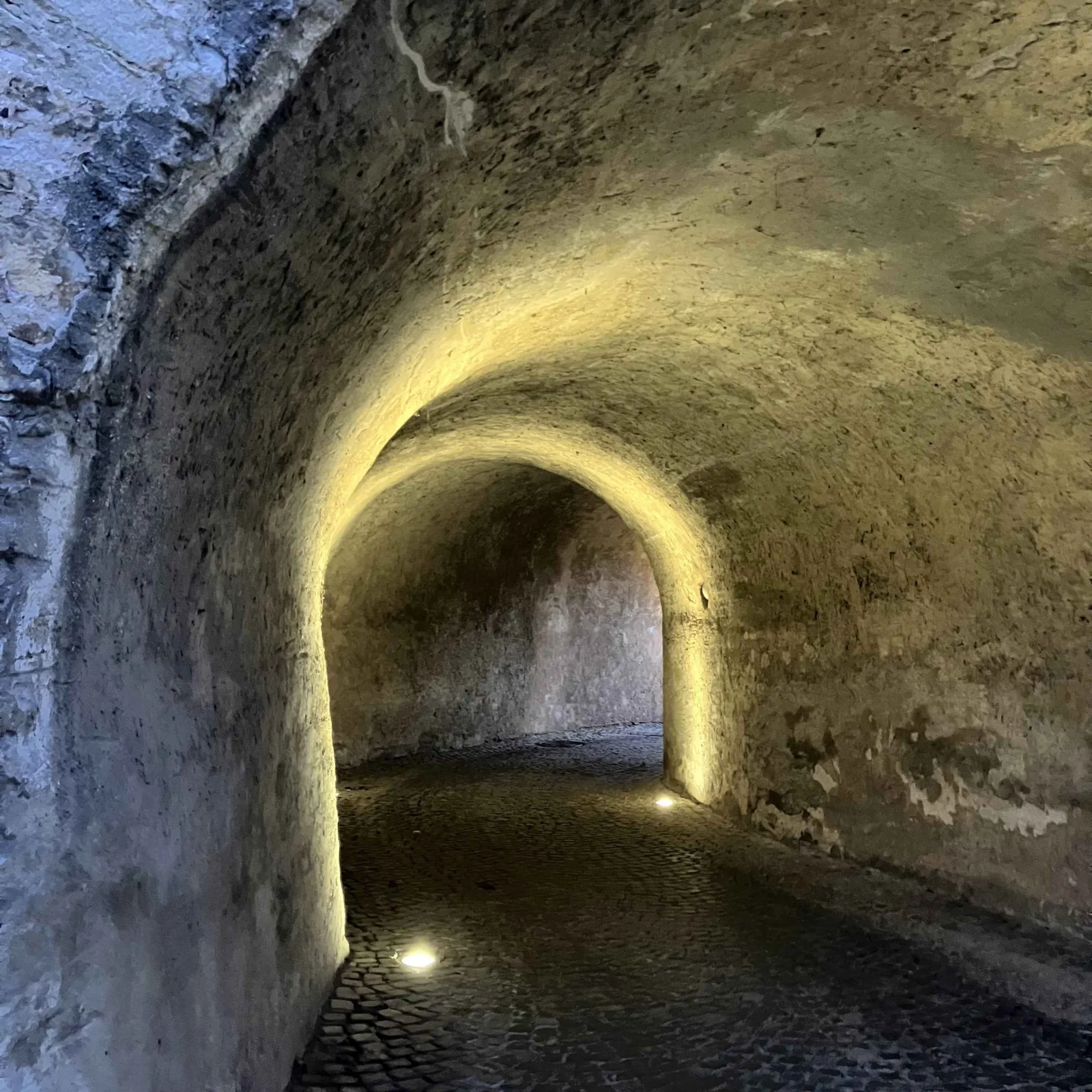 Festung Rüsselsheim