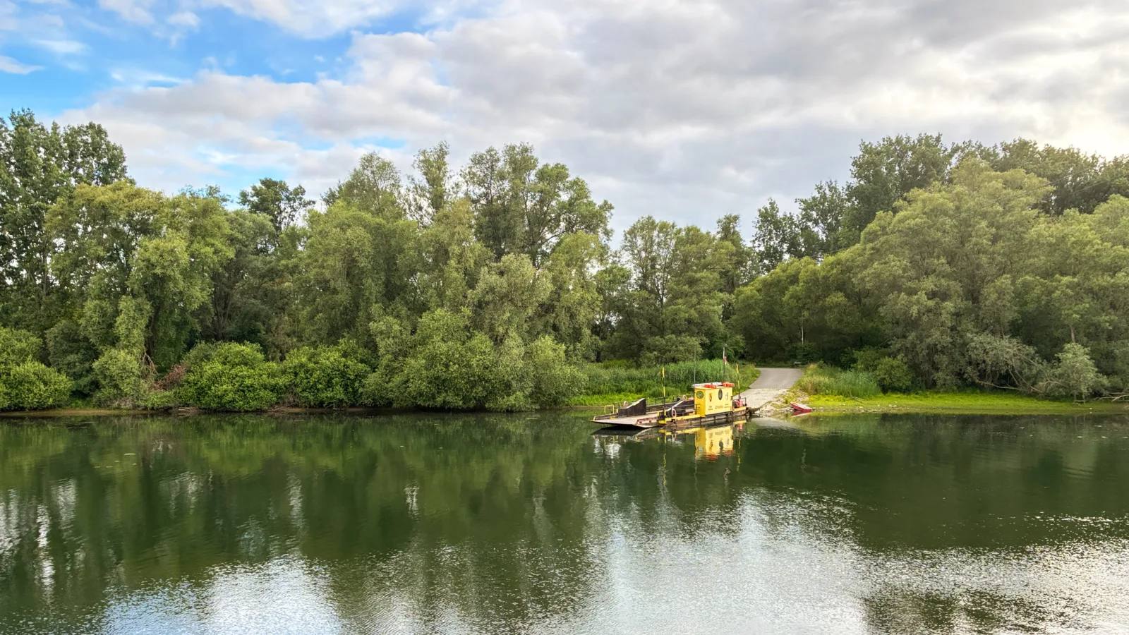 Altrheinlandschaft mit Insel Nonnenau