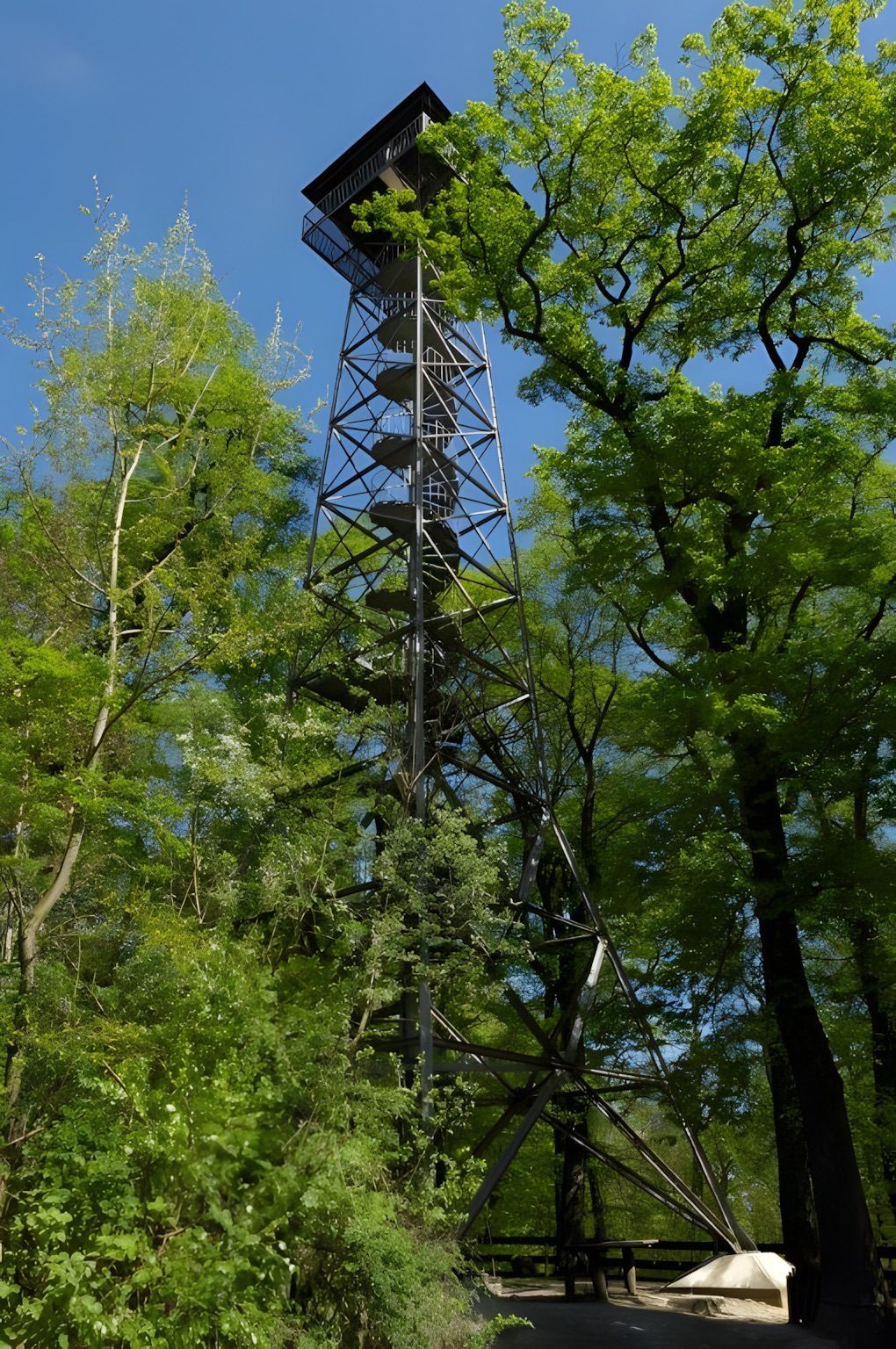 Archäologie und Geologie des Kapellenbergs bei Hofheim/Ts. (Exkursion)
