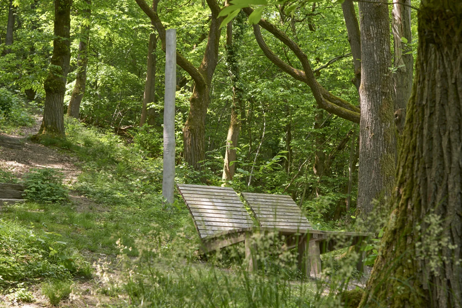 Kastaneum Kronberg
