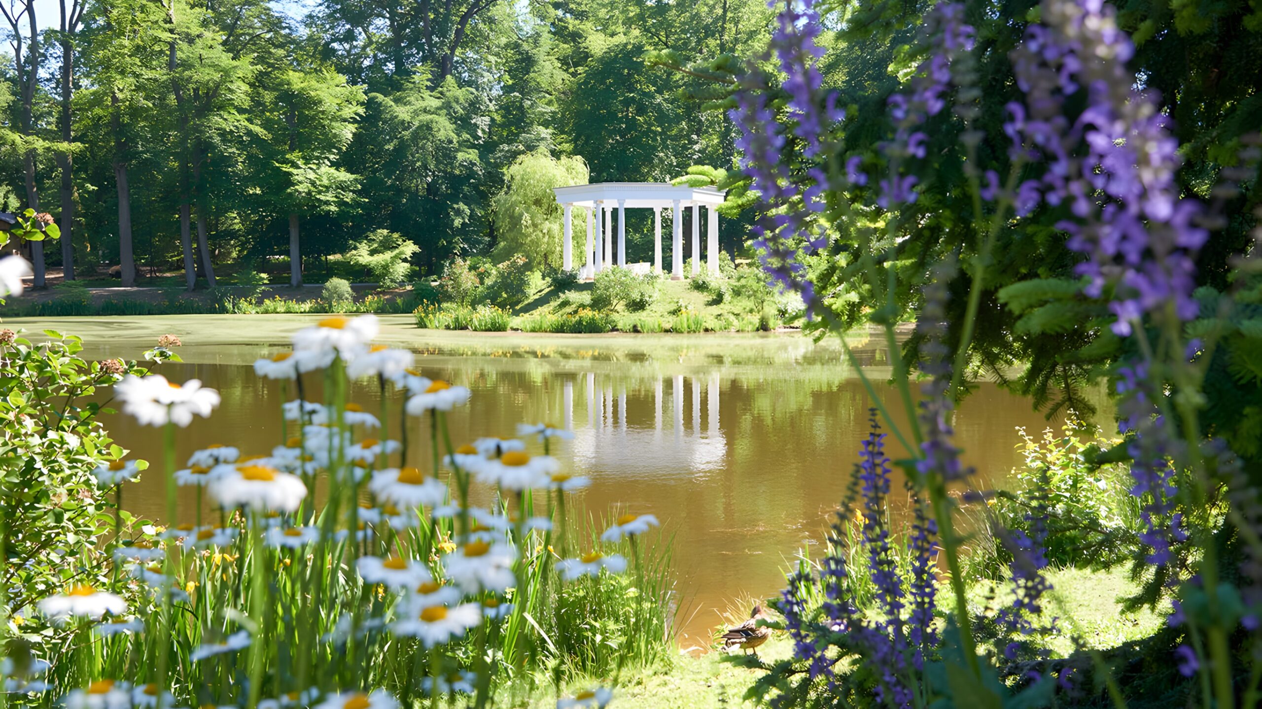 Die Landgräfliche Gartenlandschaft – Die Tannenwaldallee