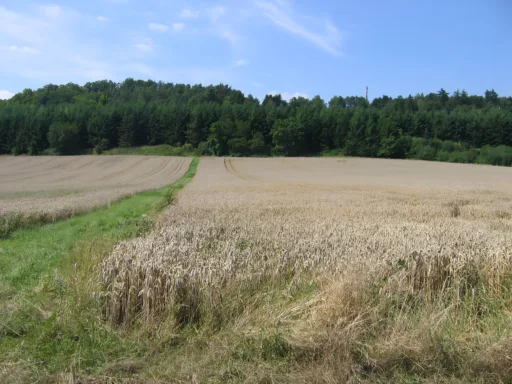 Landschaft