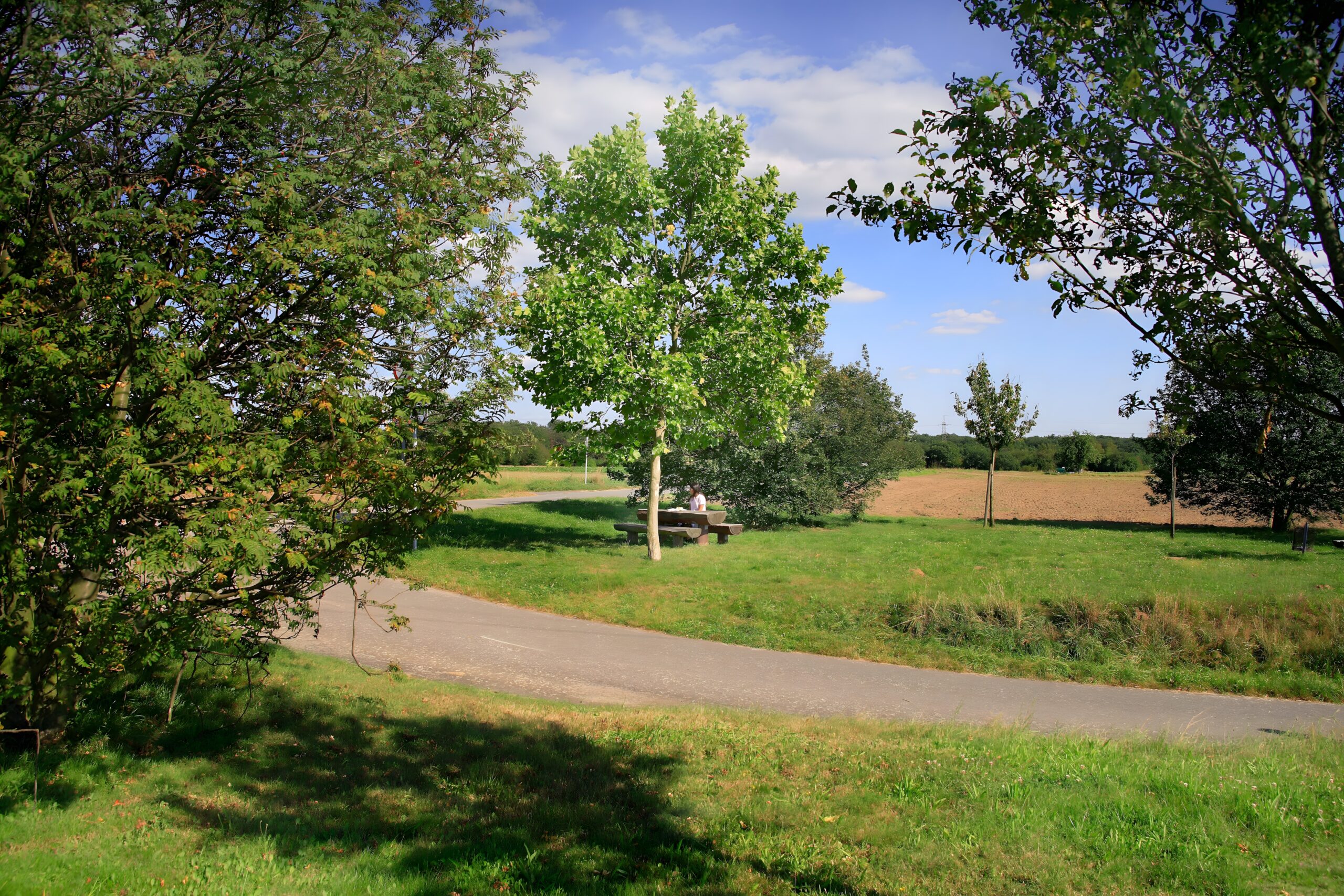 Mittelfeld Kelsterbach