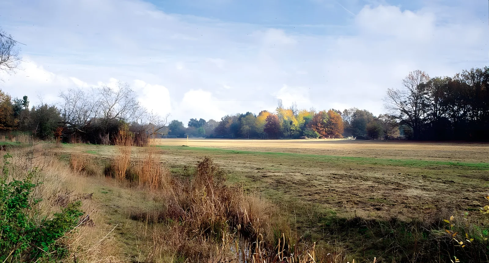 Baierhansenwiesen