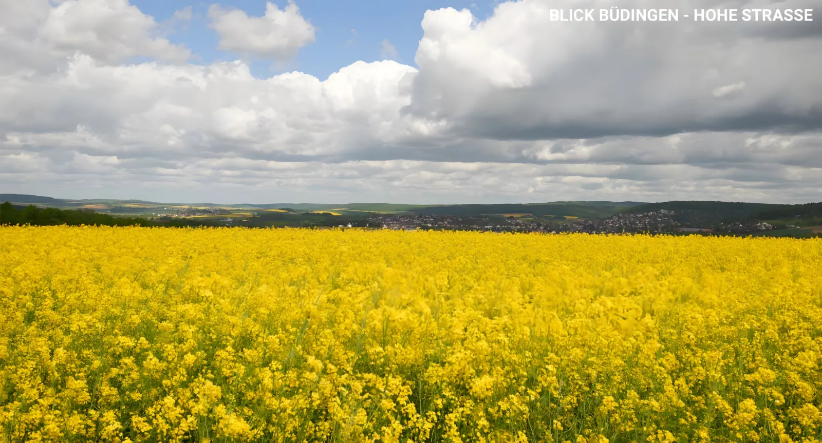 Blick Büdingen