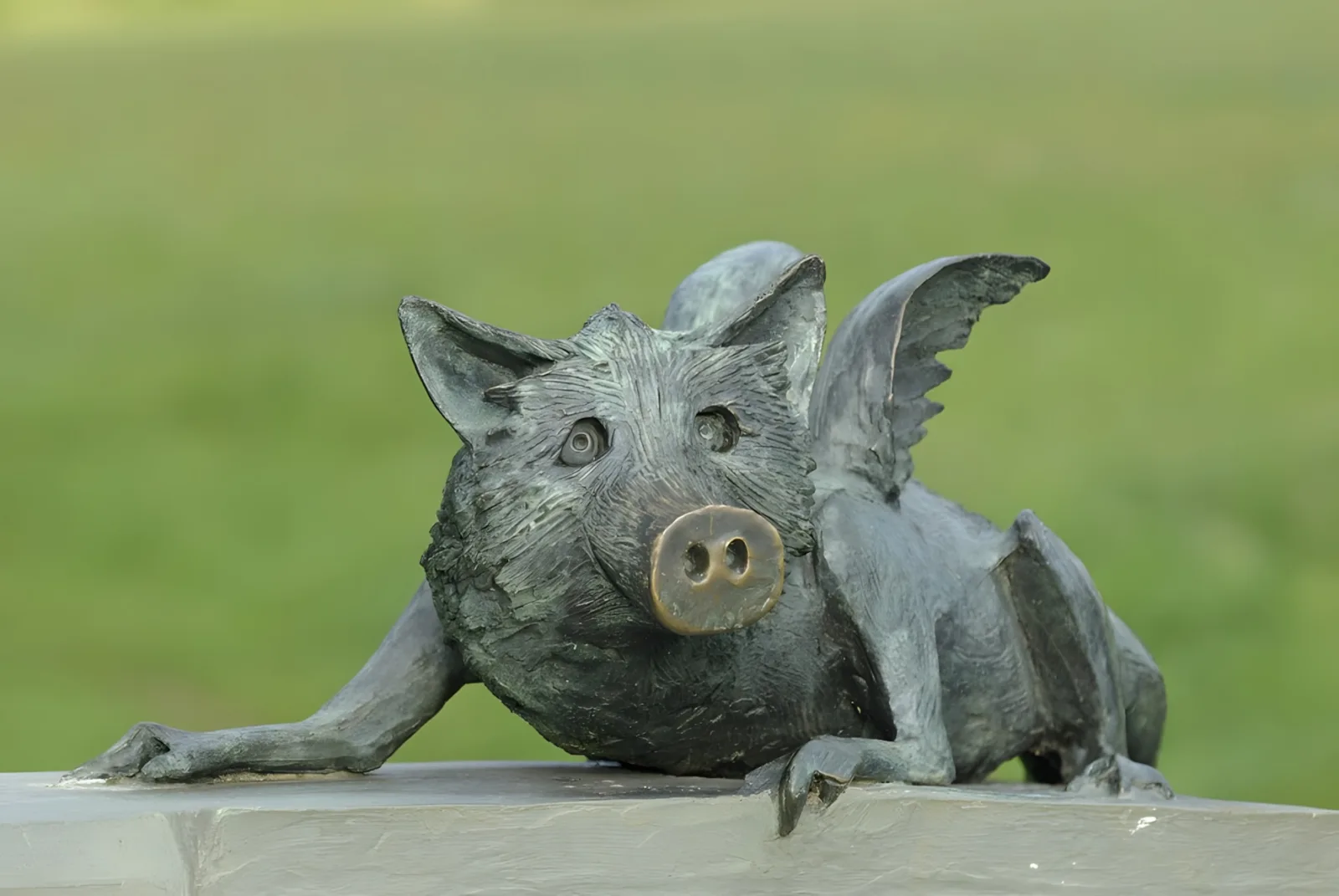 Komische Kunst – GrünGürtel-Tier