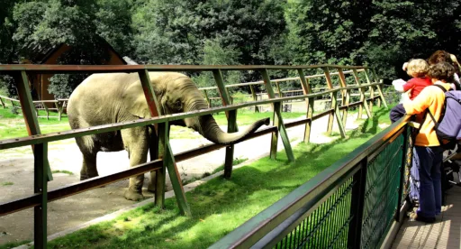 Opel zoo