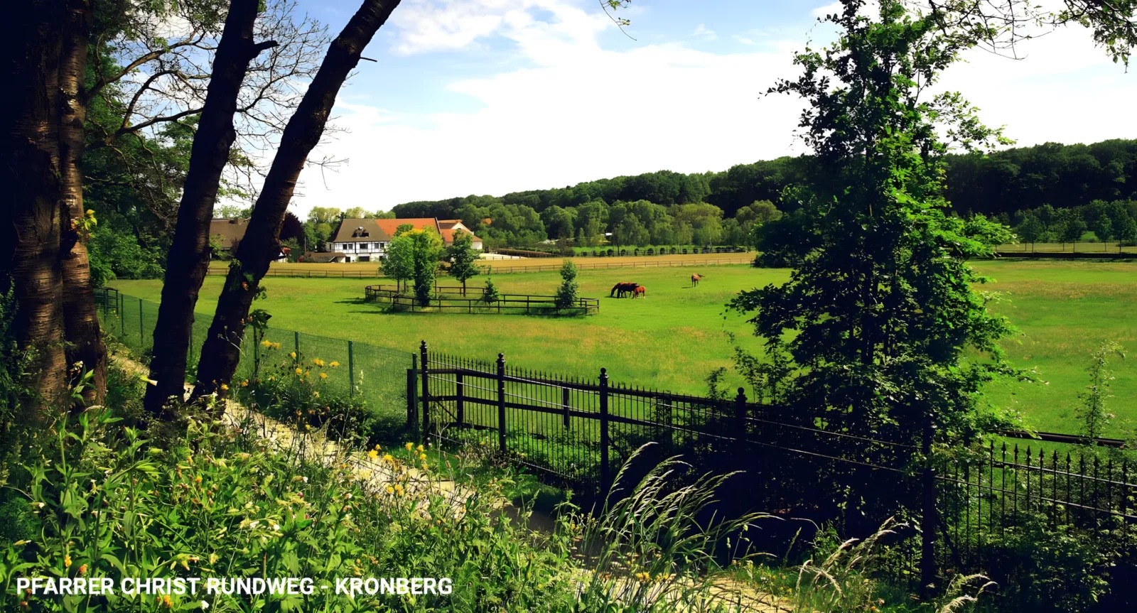 Pfarrer-Christ-Rundweg, Kronberg