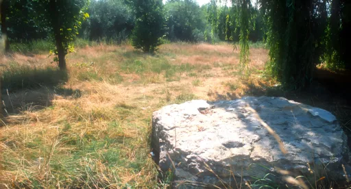 Steinplatte bischofsheim