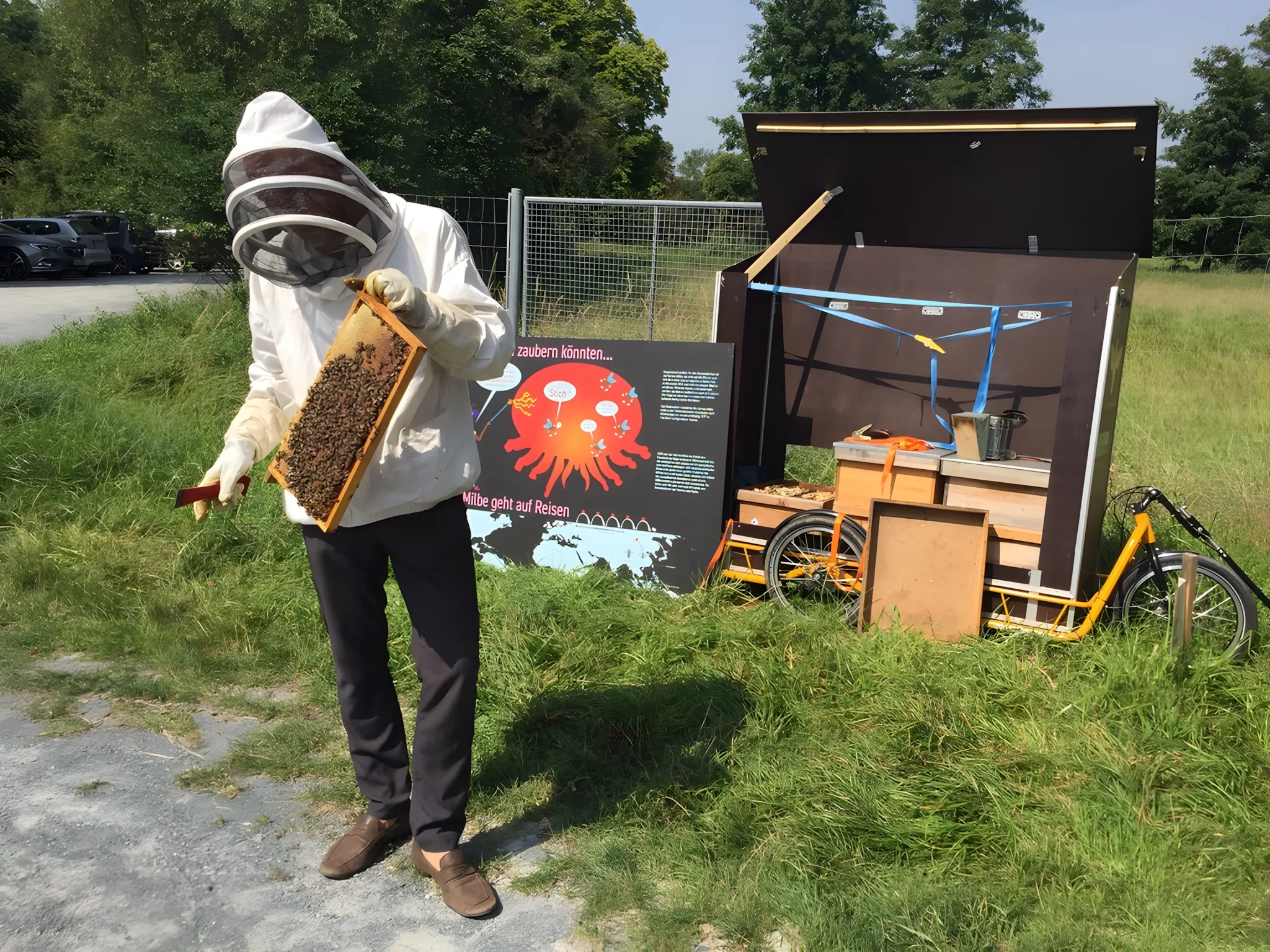 Wanderbienen