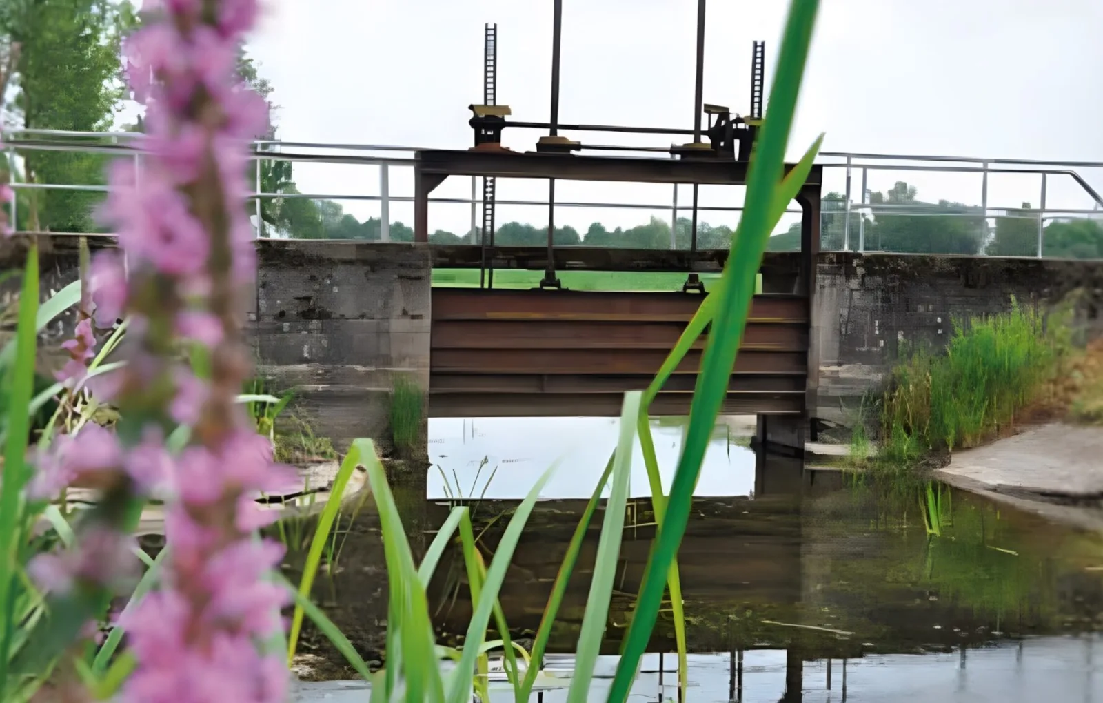 Wasserkreuzung