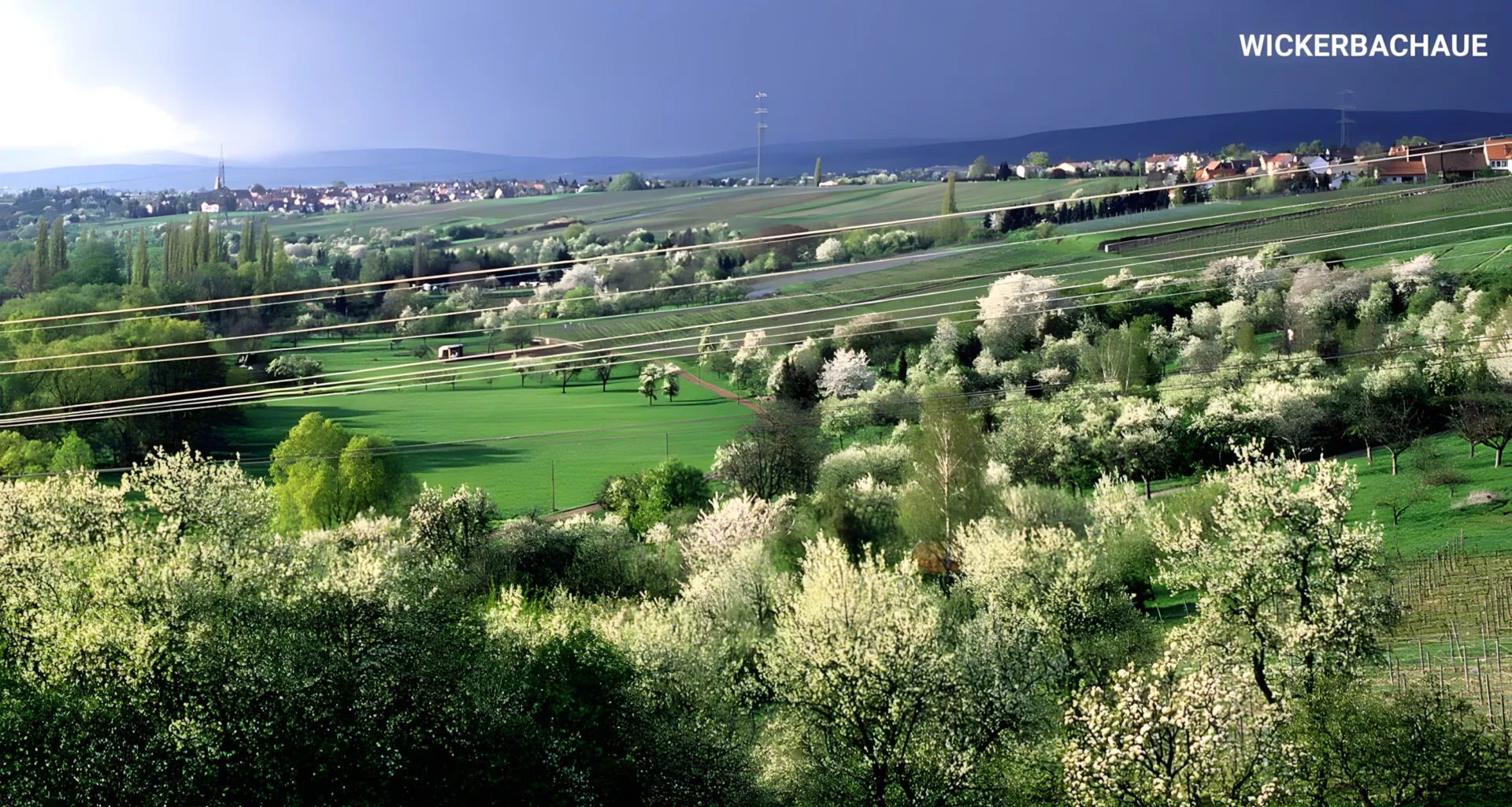Wickerbachaue3