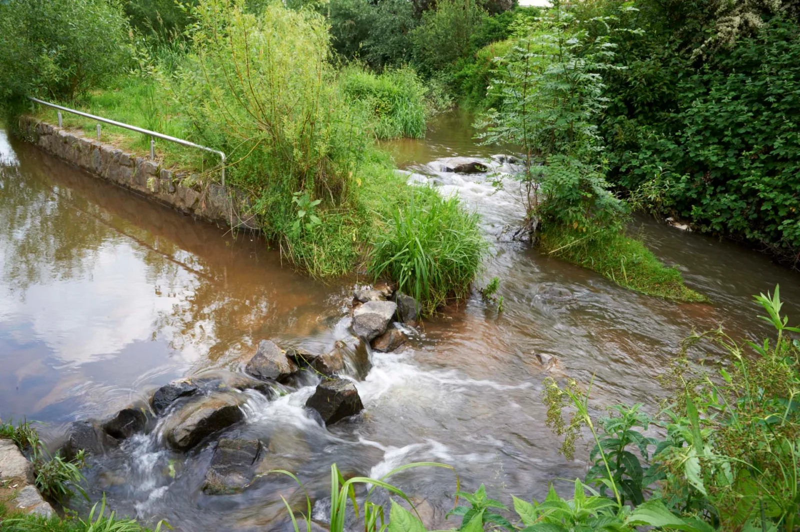 Renaturierung der Gründau, Langenselbold