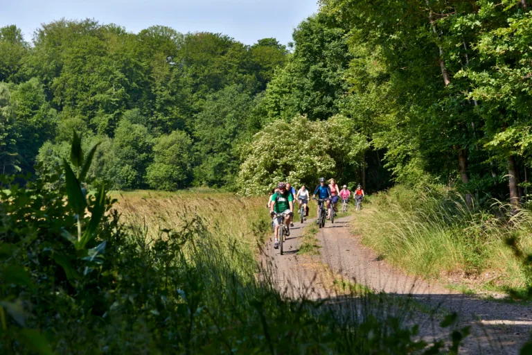 Buedingen radstefan cop hohe strasse