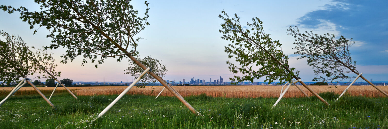 Schiefer wald eschborn cop
