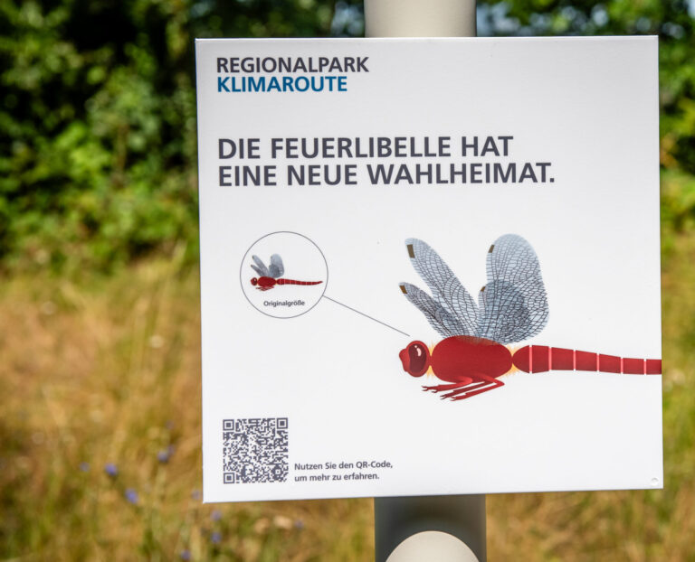Regionalpark Klimaroute Station Fauna Flora Schild Feuerlibelle