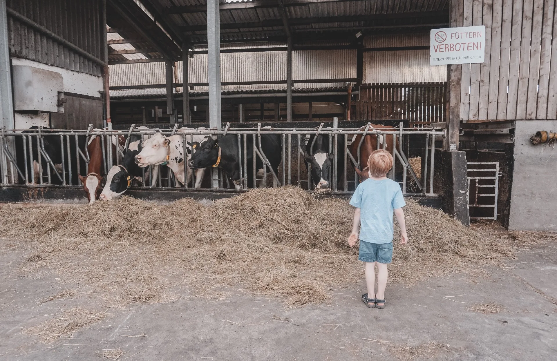 Lenhardts Bauernhof Catrin Haeusser Frankfurt mit Kids