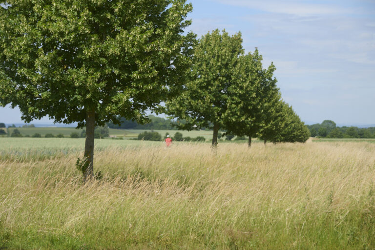Hohe Strasse Tews 2026 (13)