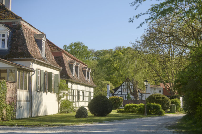 Mönchbruch wiesen tews 2026 (1)